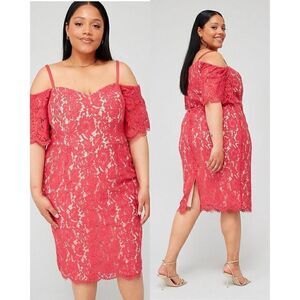 CITY CHIC NWT Lace Whisper Bodycon Cotton Dress Floral Lace Sz 16